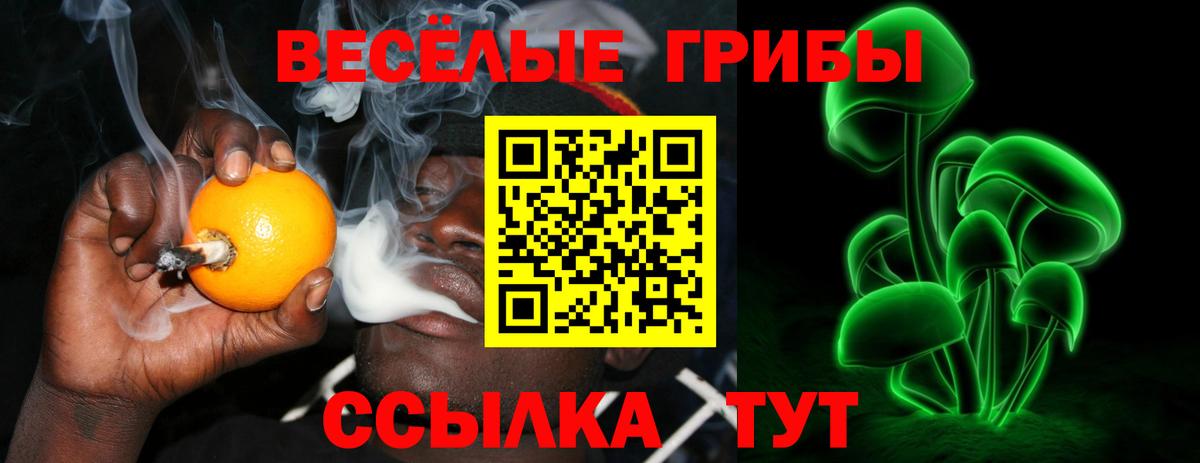 Галлюциногенные грибы Psilocybe Михайловка